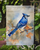Blue Jay Garden Flag