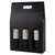 Black 3-Bottle Carrier by Cakewalk