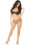 Lace Ruffle Panty