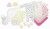 Bambini Newborn Layette Baby Shower Gift Set