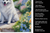 Spring Path Kitchen Towel