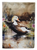 Common Eider Duck Garden Flag
