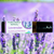 Aromatherapy Essential Oil Roll-On