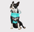 GF Pet Reversible Raincoat