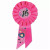 Rosettes(Multiple Themed Designs Available)