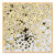 Diploma Mill Confetti