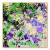 Diploma Mill Confetti
