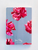 Notebook Set