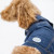Denim Dog Jacket