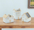 Set of Three White And Natural House Trio Pot Planters