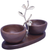 Acacia Wood Two  Nut Bowls