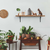 8" Set Of Two Black Curved Metal Wall Mounted Shelf Brackets