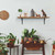8" Set Of Two Black Curved Metal Wall Mounted Shelf Brackets