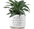 Planter The World Is A Better Place