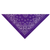 TP Paisley Bandana