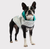 GF Pet Reversible Raincoat