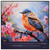 Wall Plaque Robin He Will Cover You With
