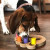 Brainiac  Interactive Pet Toy