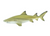 Lemon Shark Figurine