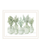 Simply Sage White Framed Print Wall Art