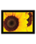 Sunflower Portrait Black Framed Print Wall Art