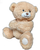 Plush Tan Teddy Bear