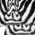 12" X 20" X 5" Denton Zebra Black And White Faux Pillow 2 Pack - 614486174867