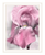 Pink Iris White Framed Print Wall Art