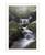Ricketts Waterfall White Framed Print Wall Art