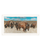 Bison Herd White Framed Print Wall Art