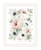 Peony Floral Block White Framed Print Wall Art