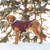 GF Pet  Winter Sailor Parka