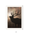 Elk Sunrise White Framed Print Wall Art