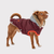 GF Pet  Winter Sailor Parka