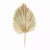 Fan Palm Leaf (Set of 6) 42"H Natural Palm