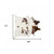 6' X 7' Brown And White Cowhide Cowhide Print Area Rug