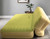 Incline Adjustable Moss Green Inflatable Queen Size Air Mattress - 606114576075