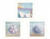Set Of Three Shells I White Framed Print Wall Art - 606114042716