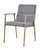 Gray and Antiqued Brass Upholstered Fabric Dining Arm Chair - 606114578956