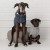 GF Pet Chalet Dog Sweater
