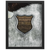 Framed Wall Art Psalm 91 Eagle
