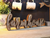 Wooden Farmhouse Tabletop Sign Decor Decorated with Galvanized Steel-Freestanding Farmhouse Word Sign