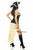 Top Drawer Pirate Wench Costume