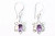 Scroll-work Frame Amethyst Hook Earrings