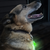 Pet Blinkers Flashing LED Pet Safety Light