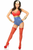 Lavish Sexy Superhero Costume