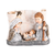 Nativity Holy Family On Scroll City 3.5H