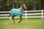 TuffRider 1200D Winter Comfy Detachable Neck Sheet