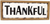 Thankful Enamel Surface Decorative Shelf Sitter Inspirational Wood Block Sign Table Top Decor Plaque 10 x 2 x 3.75 inches (Natural Wood- Thankful)