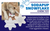 Snowflake Nylon Dog Chew Toy for Aggressive Chewers  & FDA Compliant